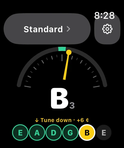 Phiz Tuner: Plain meter